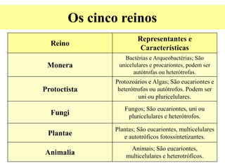 Os cinco reinos
Reino
Representantes e
Características
Monera
Bactérias e Arqueobactérias; São
unicelulares e procariontes, podem ser
autótrofas ou heterótrofas.
Protoctista
Protozoários e Algas; São eucariontes e
heterótrofos ou autótrofos. Podem ser
uni ou pluricelulares.
Fungi
Fungos; São eucariontes, uni ou
pluricelulares e heterótrofos.
Plantae
Plantas; São eucariontes, multicelulares
e autotróficos fotossintetizantes.
Animalia
Animais; São eucariontes,
multicelulares e heterotróficos.
 