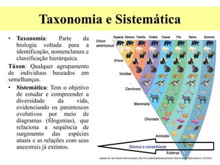 Taxonomia e Sistemática
• Taxonomia: Parte da
biologia voltada para a
identificação, nomenclatura e
classificação hierárquica.
Táxon: Qualquer agrupamento
de indivíduos baseados em
semelhanças.
• Sistemática: Tem o objetivo
de estudar e compreender a
diversidade da vida,
evidenciando os parentescos
evolutivos por meio de
diagramas (filogenias), que
relaciona a sequência de
surgimento das espécies
atuais e as relações com seus
ancestrais já extintos.
 