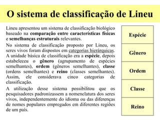Classificação dos seres vivos. | PPTX
