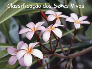 Classificação dos Seres Vivos
 