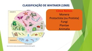 CLASSIFICAÇÃO DE WHITAKER (1969)
https://cmoliveira.weebly.com/uploads/4/5/3/9/45394181/2506016.jpg?445
Cinco Reinos
Monera
Protoctista (ou Protista)
Fungi
Plantae
Animalia
 