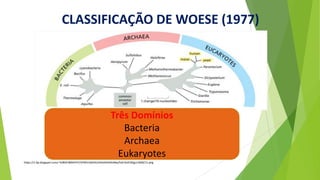 CLASSIFICAÇÃO DE WOESE (1977)
https://1.bp.blogspot.com/-5V8GP3BMHHY/VPdftU3bOhI/AAAAAAAAABw/fxErDoEV6tg/s1600/11.png
Três Domínios
Bacteria
Archaea
Eukaryotes
 