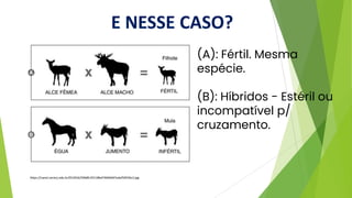 E NESSE CASO?
https://canal.cecierj.edu.br/012016/59b8fc35118bd74b94d47edaf50556c2.jpg
(A): Fértil. Mesma
espécie.
(B): Híbridos - Estéril ou
incompatível p/
cruzamento.
 