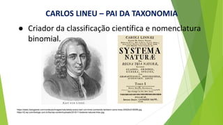 ● Criador da classificação científica e nomenclatura
binomial.
https://static.biologianet.com/conteudo/images/naturalista-sueco-karl-von-linne-conhecido-tambem-como-lineu-54525c51855f6.jpg
https://i2.wp.com/biologo.com.br/bio/wp-content/uploads/2016/11/sistema-naturae-lineu.jpg
CARLOS LINEU – PAI DA TAXONOMIA
 