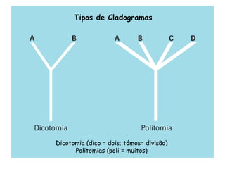 Tipos de Cladogramas
Dicotomia (dico = dois; tómos= divisão)
Politomias (poli = muitos)
 