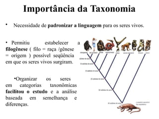 • Necessidade de padronizar a linguagem para os seres vivos.
• Permitiu estabelecer a
filogênese ( filo = raça /gênese
= origem ) possível seqüência
em que os seres vivos surgiram.
•Organizar os seres
em categorias taxonômicas
facilitou o estudo e a análise
baseada em semelhança e
diferenças.
Importância da Taxonomia
 