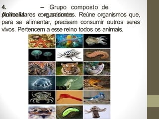 4.
Animalia
– Grupo composto de
organismos
pluricelulares e eucariontes. Reúne organismos que,
para se alimentar, precisam consumir outros seres
vivos. Pertencem a esse reino todos os animais.
 