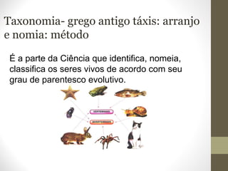 Taxonomia- grego antigo táxis: arranjo
e nomia: método
É a parte da Ciência que identifica, nomeia,
classifica os seres vivos de acordo com seu
grau de parentesco evolutivo.
 