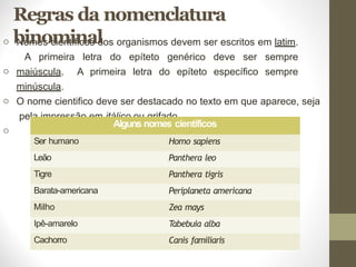 o
o
o
o
Nomes científicos dos organismos devem ser escritos em latim.
A primeira letra do epíteto genérico deve ser sempre
maiúscula. A primeira letra do epíteto específico sempre
minúscula.
O nome cientifico deve ser destacado no texto em que aparece, seja
pela impressão em itálico ou grifado.
Regras da nomenclatura
binominal
Alguns nomes científicos
Ser humano Homo sapiens
Leão Panthera leo
Tigre Panthera tigris
Barata-americana Periplaneta americana
Milho Zea mays
Ipê-amarelo Tabebuia alba
Cachorro Canis familiaris
 