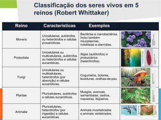 CLASSIFICAÇÃO DOS SERES VIVOS - 7 ANO.pptx