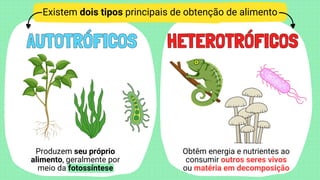 Classificação dos seres vivos - Biologia outra abordagem.pdf