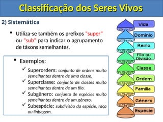 Classificação dos Seres Vivos
Classificação dos Seres Vivos
2) Sistemática
 Utiliza-se também os prefixos “super”
ou “sub” para indicar o agrupamento
de táxons semelhantes.
 Exemplos:
 Superordem: conjunto de ordens muito
semelhantes dentro de uma classe.
 Superclasse: conjunto de classes muito
semelhantes dentro de um filo.
 Subgênero: conjunto de espécies muito
semelhantes dentro de um gênero.
 Subespécie: subdivisão da espécie, raça
ou linhagem.
 