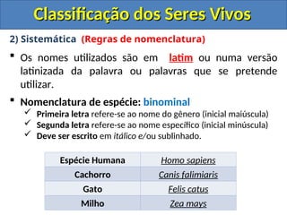 Classificação dos Seres Vivos
Classificação dos Seres Vivos
2) Sistemática (Regras de nomenclatura)
 Os nomes utilizados são em latim ou numa versão
latinizada da palavra ou palavras que se pretende
utilizar.
 Nomenclatura de espécie: binominal
 Primeira letra refere-se ao nome do gênero (inicial maiúscula)
 Segunda letra refere-se ao nome específico (inicial minúscula)
 Deve ser escrito em itálico e/ou sublinhado.
Espécie Humana Homo sapiens
Cachorro Canis falimiaris
Gato Felis catus
Milho Zea mays
 