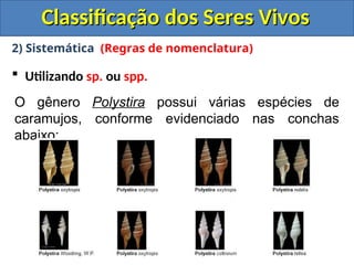 Classificação dos Seres Vivos
Classificação dos Seres Vivos
2) Sistemática (Regras de nomenclatura)
 Utilizando sp. ou spp.
O gênero Polystira possui várias espécies de
caramujos, conforme evidenciado nas conchas
abaixo:
 