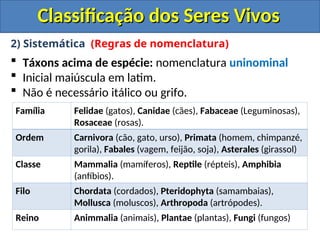 Classificação dos Seres Vivos
Classificação dos Seres Vivos
2) Sistemática (Regras de nomenclatura)
 Táxons acima de espécie: nomenclatura uninominal
 Inicial maiúscula em latim.
 Não é necessário itálico ou grifo.
Família Felidae (gatos), Canidae (cães), Fabaceae (Leguminosas),
Rosaceae (rosas).
Ordem Carnivora (cão, gato, urso), Primata (homem, chimpanzé,
gorila), Fabales (vagem, feijão, soja), Asterales (girassol)
Classe Mammalia (mamíferos), Reptile (répteis), Amphibia
(anfíbios).
Filo Chordata (cordados), Pteridophyta (samambaias),
Mollusca (moluscos), Arthropoda (artrópodes).
Reino Animmalia (animais), Plantae (plantas), Fungi (fungos)
 