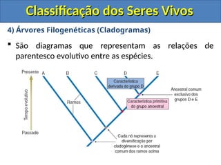 Classificação dos Seres Vivos
Classificação dos Seres Vivos
4) Árvores Filogenéticas (Cladogramas)
 São diagramas que representam as relações de
parentesco evolutivo entre as espécies.
 