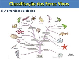 Classificação dos Seres Vivos
Classificação dos Seres Vivos
1) A diversidade Biológica
Árvore
Evolutiva
 