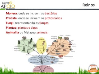 www.EquarparaEnsinoMedio.com.br - Biologia -  Classificação dos seres vivos.