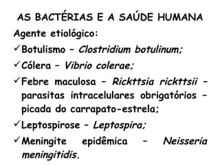 AS BACTÉRIAS E A SAÚDE HUMANA Agente etiológico: Botulismo –  Clostridium botulinum; Cólera –  Vibrio colerae; Febre maculosa –  Rickttsia rickttsii –  parasitas intracelulares obrigatórios – picada do carrapato-estrela; Leptospirose –  Leptospira; Meningite epidêmica –  Neisseria meningitidis. 