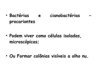 Bactérias e cianobactérias – procariontes Podem viver como células isoladas, microscópicas; Ou Formar colônias visíveis a olho nu. 