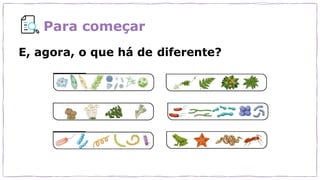 Para começar
E, agora, o que há de diferente?
 