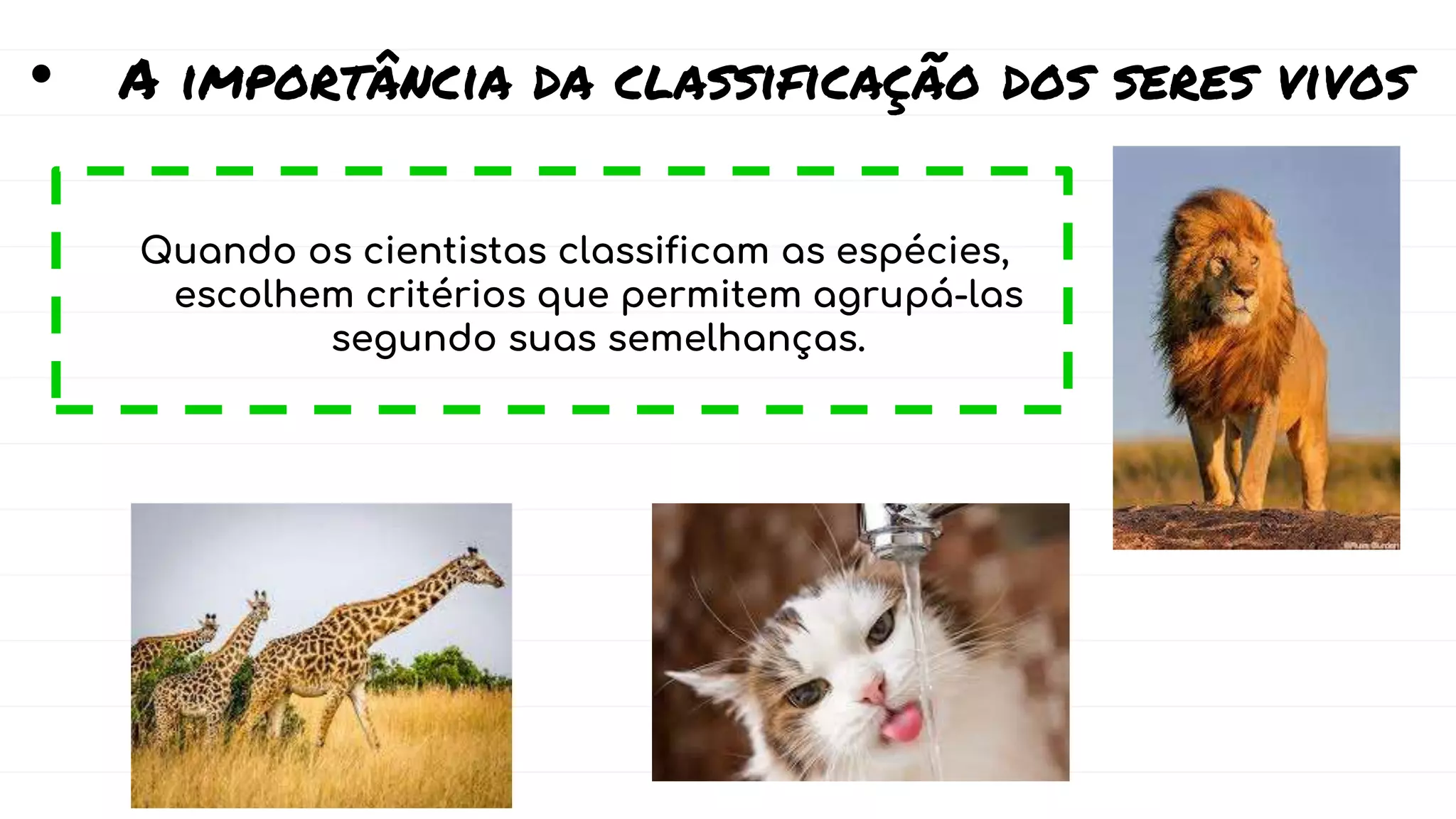 Classificação dos seres vivos 7º ano.pptx