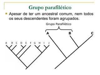 Grupo parafilético
   Apesar de ter um ancestral comum, nem todos
    os seus descendentes foram agrupados.
 
