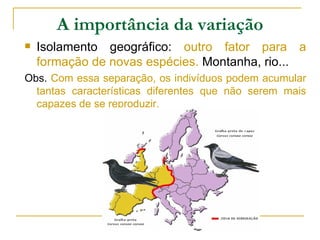 A importância da variação
   Isolamento geográfico: outro fator para a
    formação de novas espécies. Montanha, rio...
Obs. Com essa separação, os indivíduos podem acumular
  tantas características diferentes que não serem mais
  capazes de se reproduzir.
 