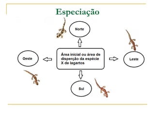 Especiação
 
