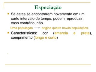 Especiação
   Se estes se encontrarem novamente em um
    curto intervalo de tempo, podem reproduzir,
    caso contrário, não.
    Uma população     origina quatro novas populações.
   Características: cor (amarela          e    preta),
    comprimento (longo e curto)


.
 