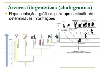 Árvores filogenéticas (cladogramas)
   Representações gráficas para apresentação de
    determinadas informações
 