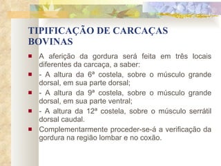 TIPIFICAÇÃO DE CARCAÇAS BOVINAS A aferição da gordura será feita em três locais diferentes da carcaça, a saber:  - A altura da 6ª costela, sobre o músculo grande dorsal, em sua parte dorsal; - A altura da 9ª costela, sobre o músculo grande dorsal, em sua parte ventral; - A altura da 12ª costela, sobre o músculo serrátil dorsal caudal. Complementarmente proceder-se-á a verificação da gordura na região lombar e no coxão. 