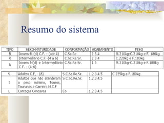 Resumo do sistema 