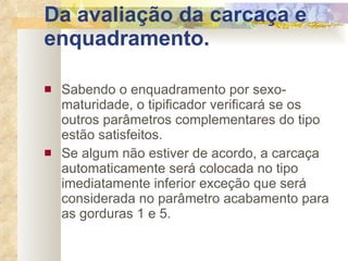 Da avaliação da carcaça e enquadramento. Sabendo o enquadramento por sexo-maturidade, o tipificador verificará se os outros parâmetros complementares do tipo estão satisfeitos.  Se algum não estiver de acordo, a carcaça automaticamente será colocada no tipo imediatamente inferior exceção que será considerada no parâmetro acabamento para as gorduras 1 e 5.   