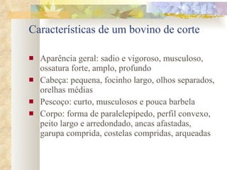 Características de um bovino de corte Aparência geral: sadio e vigoroso, musculoso, ossatura forte, amplo, profundo Cabeça: pequena, focinho largo, olhos separados, orelhas médias Pescoço: curto, musculosos e pouca barbela Corpo: forma de paralelepípedo, perfil convexo, peito largo e arredondado, ancas afastadas, garupa comprida, costelas compridas, arqueadas 