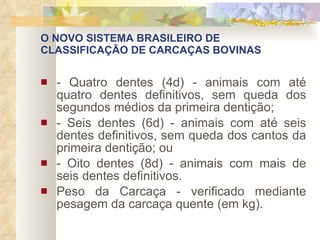 O NOVO SISTEMA BRASILEIRO DE CLASSIFICAÇÃO DE CARCAÇAS BOVINAS - Quatro dentes (4d) - animais com até quatro dentes definitivos, sem queda dos segundos médios da primeira dentição; - Seis dentes (6d) - animais com até seis dentes definitivos, sem queda dos cantos da primeira dentição; ou - Oito dentes (8d) - animais com mais de seis dentes definitivos. Peso da Carcaça - verificado mediante pesagem da carcaça quente (em kg). 