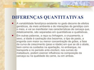 DIFERENÇAS QUANTITATIVAS A variabilidade fenotípica existente no gado decorre de efeitos genéticos, de meio ambiente e de interações do genótipo com o meio, e vai se manifestar nas características de carcaça que, didaticamente, são separadas em quantitativas e qualitativas.  Em outras palavras, a raça ou linhagem, o cruzamento, o sexo, a idade à castração dos bezerros, o tipo de pasto, a engorda com maior ou menor concentração de grãos, a fase da curva de crescimento (peso e idade) em que se dá o abate, bem como os cuidados na apartação, no embarque, no transporte e no período  ante-mortem , nos currais do matadouro, podem exercer influência na composição da carcaça ou na qualidade da carne, ou em ambas.   