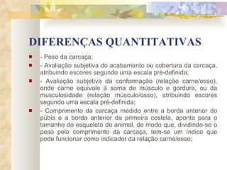 DIFERENÇAS QUANTITATIVAS - Peso da carcaça; - Avaliação subjetiva do acabamento ou cobertura da carcaça, atribuindo escores segundo uma escala pré-definida; - Avaliação subjetiva da conformação (relação carne/osso), onde carne equivale à soma de músculo e gordura, ou da musculosidade (relação músculo/osso), atribuindo escores segundo uma escala pré-definida; - Comprimento da carcaça medido entre a borda anterior do púbis e a borda anterior da primeira costela, aponta para o tamanho do esqueleto do animal, de modo que, dividindo-se o peso pelo comprimento da carcaça, tem-se um índice que pode funcionar como indicador da relação carne/osso; 