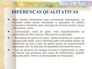 DIFERENÇAS QUALITATIVAS Além desses indicadores mais comumente empregados, na Austrália estão sendo estudados e aplicados na prática comercial e industrial, para carcaças de bovinos jovens, novos indicadores, como: - Composição racial do gado, mais especificamente as proporções de  Bos indicus  e  Bos taurus  no genótipo; - Velocidade de ganho em peso, obtida dividindo-se o peso da carcaça pela idade, que é estimada pela maturidade óssea; há evidências de que a taxa de ganho possa ser positivamente associada com os atributos de qualidade sensorial da carne; - Tipo de pendura da carcaça durante o resfriamento ou pelo ao menos nas primeiras dez horas de resfriamento, quando feita pela pelve, diminui a necessidade de maturação; 