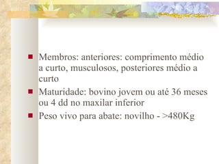 Membros: anteriores: comprimento médio a curto, musculosos, posteriores médio a curto Maturidade: bovino jovem ou até 36 meses ou 4 dd no maxilar inferior Peso vivo para abate: novilho - >480Kg 