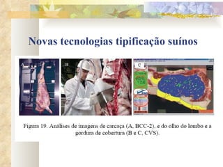 Novas tecnologias tipificação suínos 