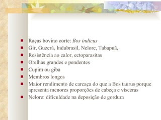 Raças bovino corte:  Bos indicus Gir, Guzerá, Indubrasil, Nelore, Tabapuã,  Resistência ao calor, ectoparasitas Orelhas grandes e pendentes Cupim ou giba Membros longos Maior rendimento de carcaça do que a Bos taurus porque apresenta menores proporções de cabeça e vísceras Nelore: dificuldade na deposição de gordura 