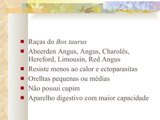 Raças do  Bos taurus Abeerden Angus, Angus, Charolês, Hereford, Limousin, Red Angus Resiste menos ao calor e ectoparasitas Orelhas pequenas ou médias Não possui cupim Aparelho digestivo com maior capacidade 