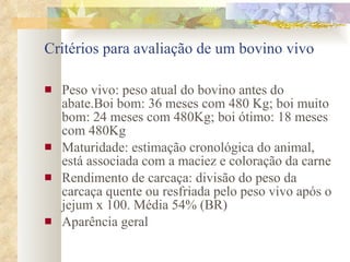 Critérios para avaliação de um bovino vivo Peso vivo: peso atual do bovino antes do abate.Boi bom: 36 meses com 480 Kg; boi muito bom: 24 meses com 480Kg; boi ótimo: 18 meses com 480Kg Maturidade: estimação cronológica do animal, está associada com a maciez e coloração da carne Rendimento de carcaça: divisão do peso da carcaça quente ou resfriada pelo peso vivo após o jejum x 100. Média 54% (BR) Aparência geral 