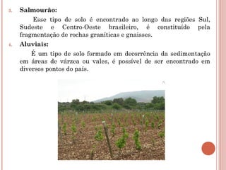 3.   Salmourão: 
         Esse tipo de solo é encontrado ao longo das regiões Sul,
     Sudeste e Centro-Oeste brasileiro, é constituído pela
     fragmentação de rochas graníticas e gnaisses.
4.   Aluviais: 
         É um tipo de solo formado em decorrência da sedimentação
     em áreas de várzea ou vales, é possível de ser encontrado em
     diversos pontos do país.
 