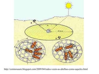 http://cemnosaum.blogspot.com/2009/04/todos-veem-as-abelhas-como-aqueles.html
 