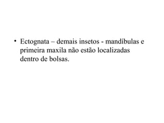 • Ectognata – demais insetos - mandíbulas e
primeira maxila não estão localizadas
dentro de bolsas.
 
