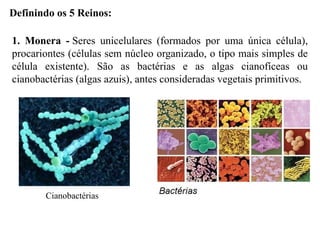 Definindo os 5 Reinos:
1. Monera - Seres unicelulares (formados por uma única célula),
procariontes (células sem núcleo organizado, o tipo mais simples de
célula existente). São as bactérias e as algas cianofíceas ou
cianobactérias (algas azuis), antes consideradas vegetais primitivos.
Cianobactérias
 