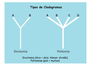 Tipos de Cladogramas
Dicotomia (dico = dois; tómos= divisão)
Politomias (poli = muitos)
 