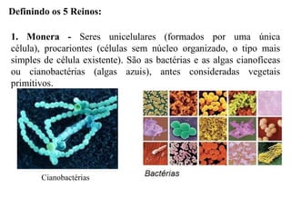 Definindo os 5 Reinos:

1. Monera - Seres unicelulares (formados por uma única
célula), procariontes (células sem núcleo organizado, o tipo mais
simples de célula existente). São as bactérias e as algas cianofíceas
ou cianobactérias (algas azuis), antes consideradas vegetais
primitivos.




       Cianobactérias
 